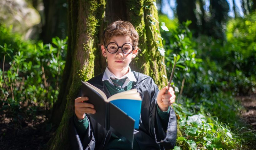Realme Harry Potter collaboration