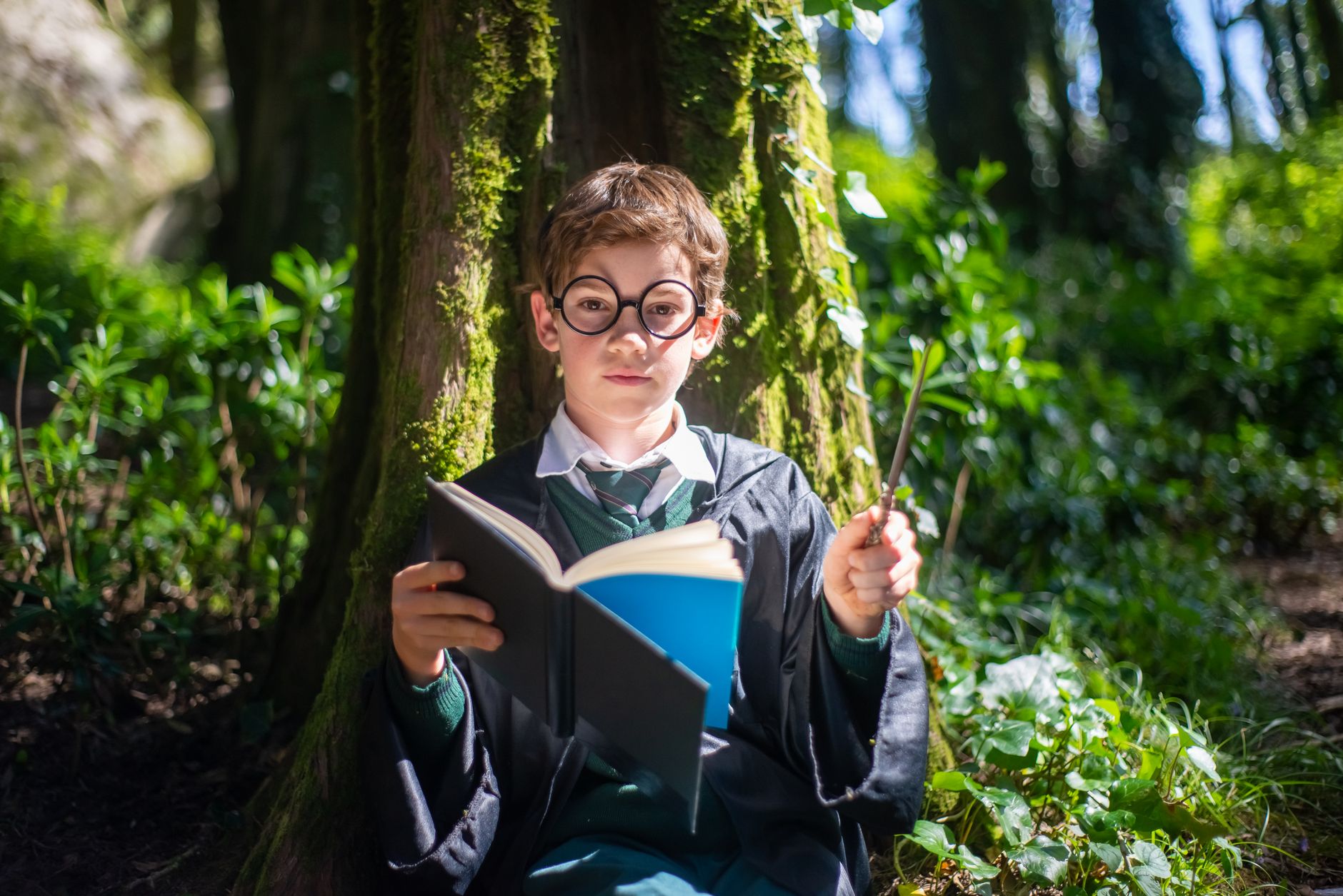 Realme Harry Potter collaboration